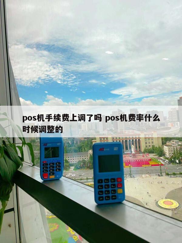 大pos机和小pos机费率_店掌柜电签pos机费率又涨了_店掌柜pos机费率是多少