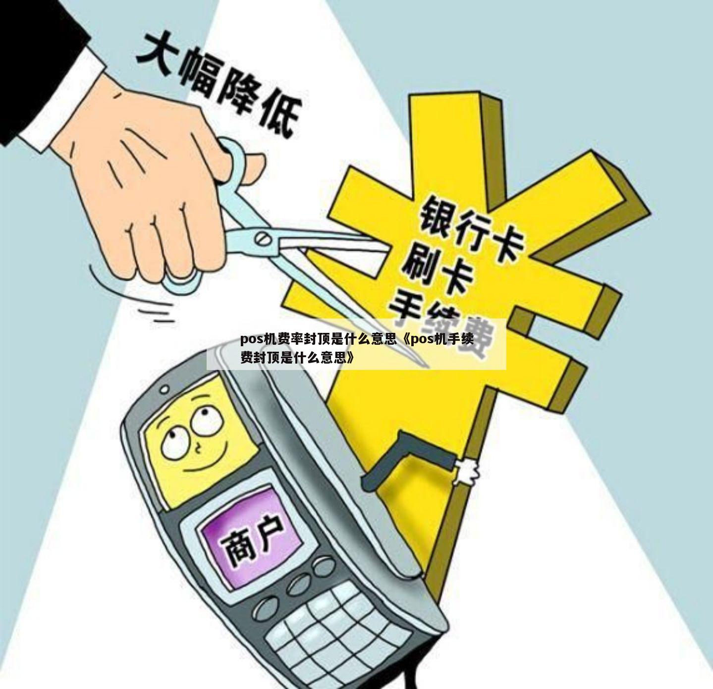 店掌柜pos机费用为什么低_店掌柜pos机费用增长_店掌柜pos机费率上调了吗